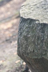 strony internetowe jelenia góra