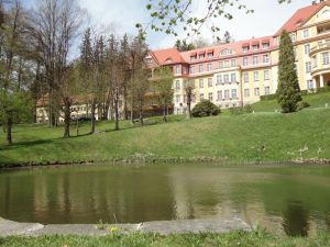 strony internetowe jelenia góra, projektowanie stron internetowych
