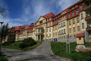 projektowanie stron internetowych jelenia góra, pozycjonowanie