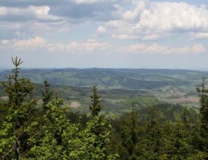 tworzenie stron internetowych jelenia góra, strony internetowe