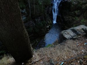 Strony internetowe jelenia góra, strony internetowe wrocław, projektowanie stron internetowych jelenia góra